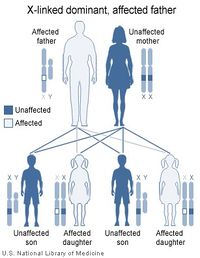 X Linked male dominant traits