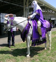 A gray horse being ridden by a person in purple and white Arabic-styled robes with a white scarf on her head. The saddle cloth and reins are also covered in purple cloth with black tassels.