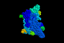 Follitropine.gif