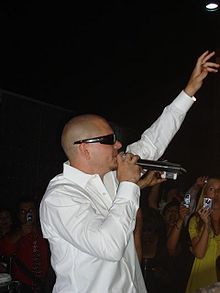 Pitbull