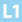 The word L1 in the light cyan background