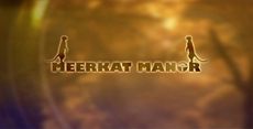 Meerkatlogo.jpg