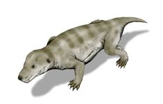 Thrinaxodon BW.jpg