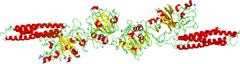 Fibrinandligand.png