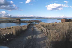 Laguna de Junín.PNG