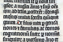 Calligraphy.malmesbury.bible.arp.jpg