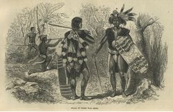 Dayaks in their war dress.jpg