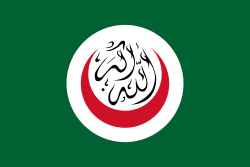 Flag of OIC.svg