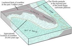 Cross section illustration of the Florida Peninsula showing the current shape of the state as is known today, and the platform created by lower ocean levels 20,000 years ago, extending the west coast 300�miles (480 km) to the west, and portions of the east coast 50 to 100 miles (80 to 160 km) east of what it currently is