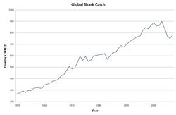 Graph of shark catch from 1950 to 2007, linear growth from less than 300,000 tons per year in 1950 to about 850,000 in 2000