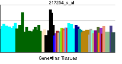 PBB GE EPO 217254 s at tn.png