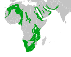 Map showing the breeding areas in Africa and the Middle East