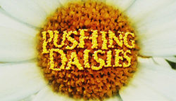 PushingDaisieslogo2.jpg