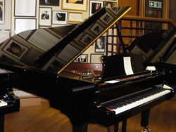 Steinway Model D.JPG