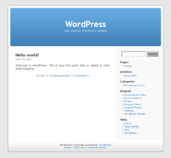 Wordpress default theme.png