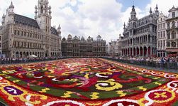 Brussels floral carpet B.jpg