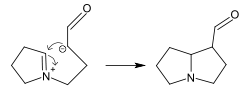 Mannich reaction intramolecular.svg