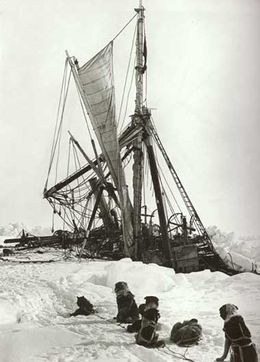  A line of seated dogs looks at a wrecked tangle of masts, rigging and sails