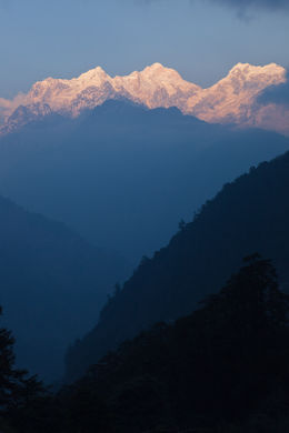 Manaslu, from Timang.jpg