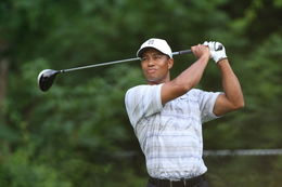 Tiger Woods drives by Allison.jpg