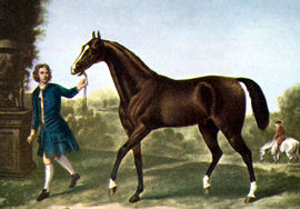 Eighteenth century painting of a dark brown horse being led by a man in blue clothes. The horse has a thin neck, tail carried high, and a small head.