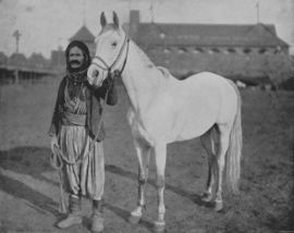 A black and white photograph of a man holding a unsaddled light gray horse