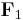 \mathbf{F}_1