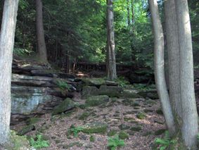 Cuyahoga Valley National Park.jpg