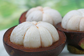 Mangosteen3.jpg