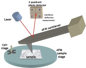 Typical atomic force microscopy set-up