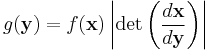 g(\mathbf{y}) = f(\mathbf{x})\left\vert \det\left(\frac{d\mathbf{x}}{d\mathbf{y}}\right)\right \vert