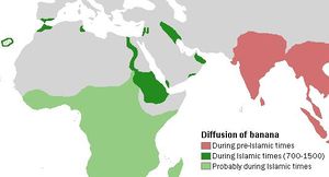 Map stating that banana cultivation occurred in pre-Islamic times in India and Southeast Asia, during the 700-1500 AD "Islamic period" along the Nile River and in Mesopotamia and Palestine, and less-certainly in sub-Saharan Africa during that same period