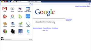 Google Chrome OS Screenshot.