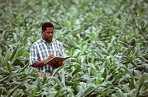 Cropscientist.jpg