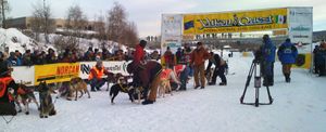 A team of dogs, still in harness, is surrounded by caretakers and spectators; in the background is the finish line with a Yukon Quest banner strung overhead