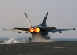 FA18 on afterburner.jpg