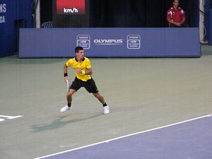 Rogers Cup 2010 Djokovic Federer108.jpg