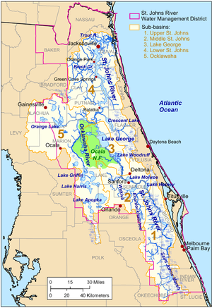 The St. Johns River lies very close to the east coast of Florida, beginning about midway down the peninsula, and winding north to Jacksonville before veering east to empty into the Atlantic Ocean. Most of its tributaries enter on its western bank and it crosses and creates many lakes.