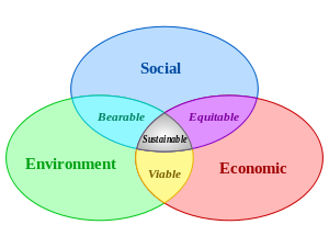 Three intersecting circles representing economy, society and environment showing how sustainability involves cooperation at the point where they all intersect.