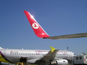 Winglets B737 800 and AB319.JPG