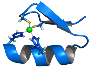 A twisted band, with one side painted blue and another gray. Its two ends are connected through some chemical species to a green atom (zinc).