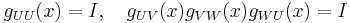 g_{UU}(x) = I, \quad g_{UV}(x)g_{VW}(x)g_{WU}(x) = I