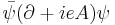 \bar \psi (\partial + ieA) \psi