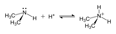 Dimethylammonium-formation-2D.png