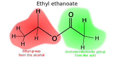 Ethylethanoate-parts.svg