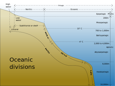 Drawing showing divisions according to depth and distance from shore