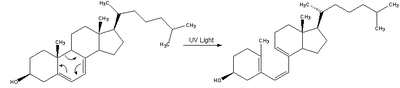 Reaction-Dehydrocholesterol-PrevitaminD3.png