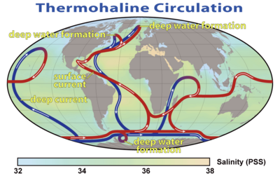 World map with colored, directed lines showing how water moves through the oceans. Cold deep water rises and warms in the central Pacific and in the Indian, while warm water sinks and cools near Greenland in the North Atlantic and near Antarctica in the South Atlantic.