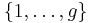 \displaystyle \left\{ 1, \dots, g \right\}