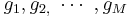 g_{1},g_{2,}\ \cdots \ ,g_{M}